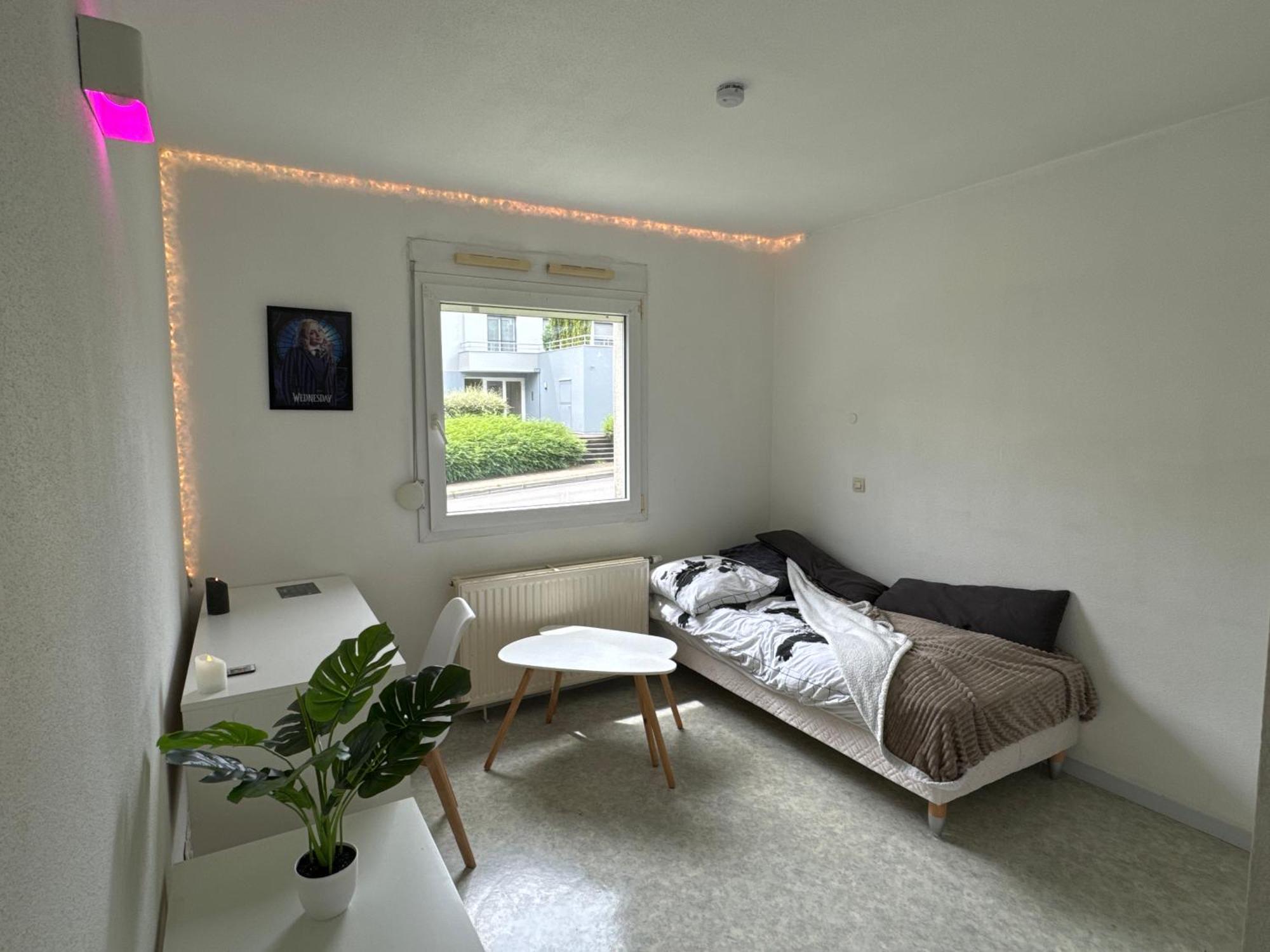 Wednesday Apartment *